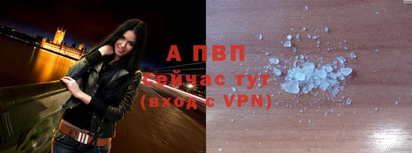 молекула духа Магадан