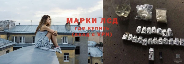 молекула духа Магадан