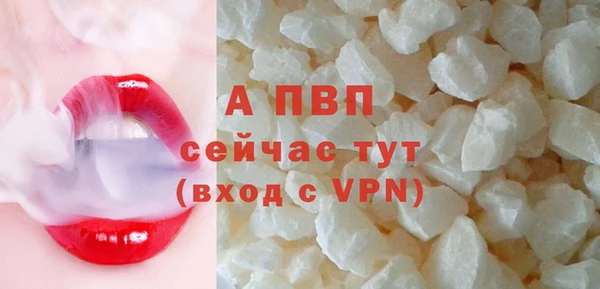 молекула духа Магадан