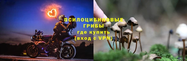 молекула духа Магадан