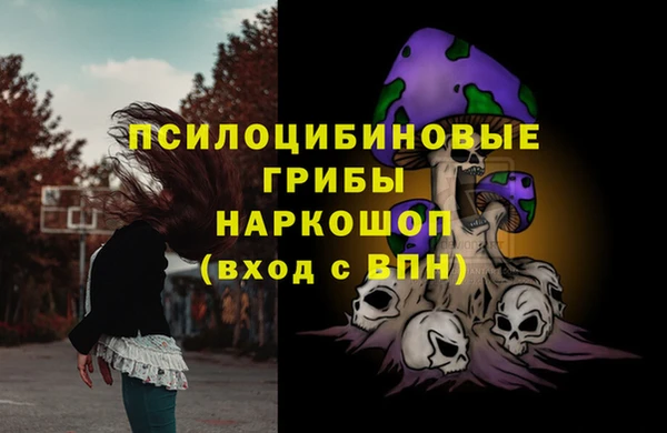 молекула духа Магадан