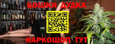 spice Новодвинск