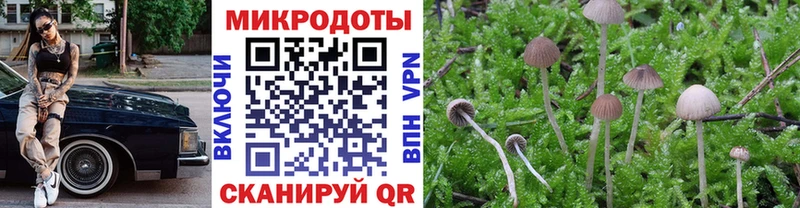 где можно купить наркотик  Усть-Джегута  Галлюциногенные грибы прущие грибы 